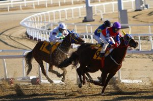 Best Best Odds for Horse Racing: Pro Tips to Win in India (2026)