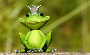 Beginner Satta King Tips and Tricks: Pro Tips to Win in India (2026)