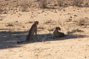 How to Get Bonus on Fastest Slots App India: Step-by-Step Guide for 2026